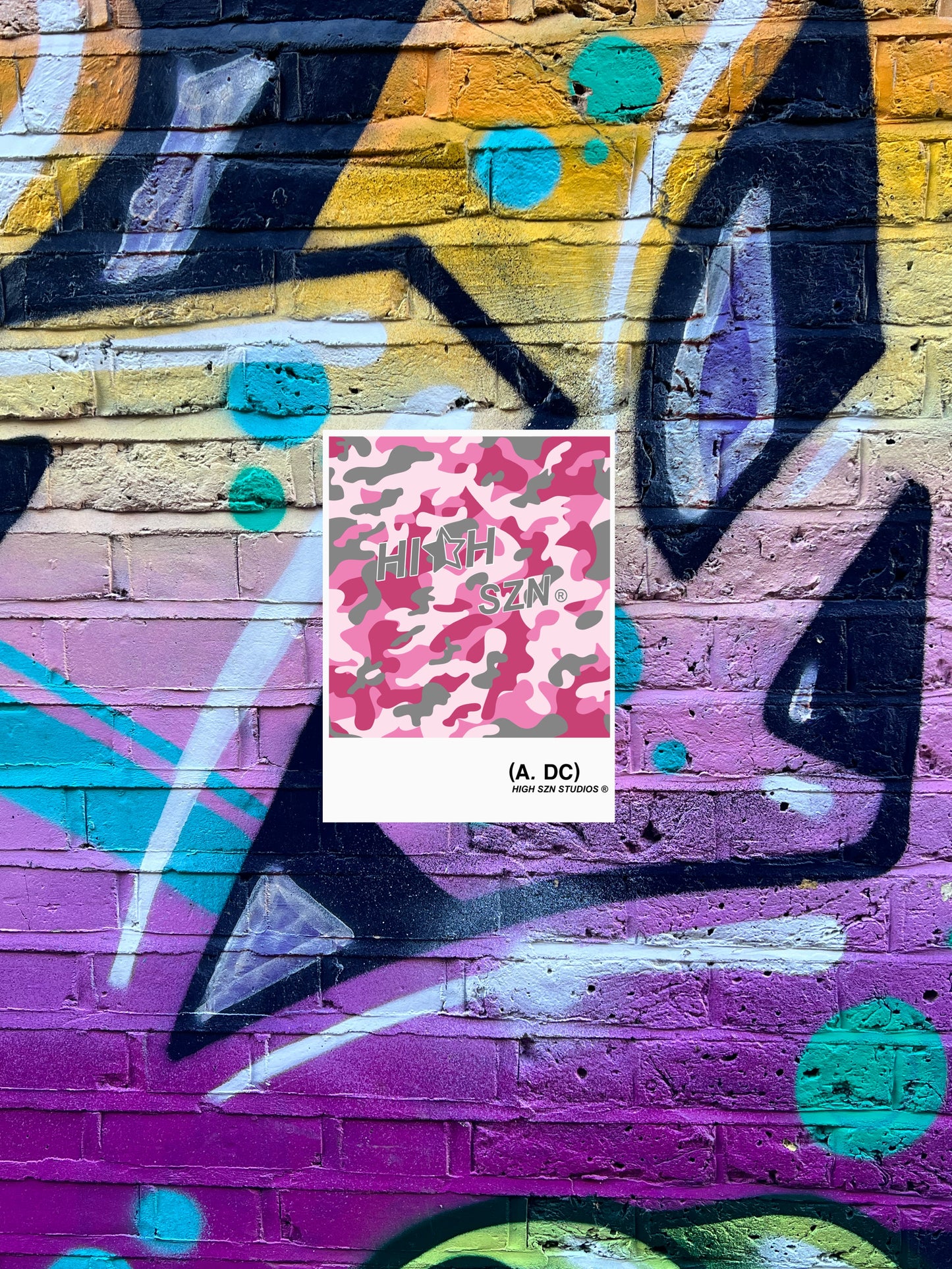 HIGH SZN® CAMO ART POSTER #1 / PINK